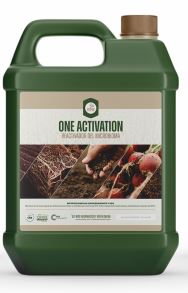 00 Prueba ONE ACTIVATION variantes